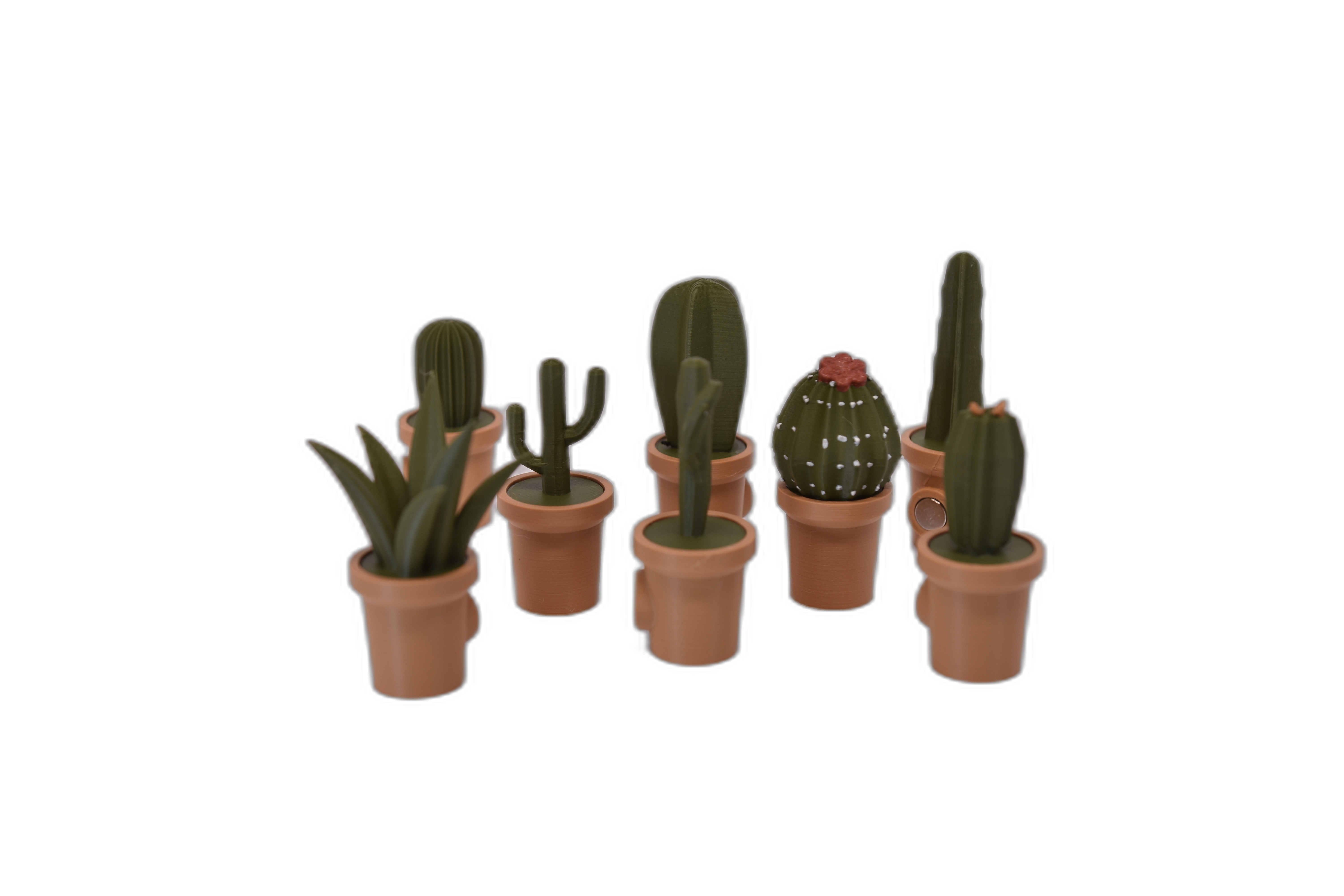 Magneti decorativi frigider – cactuși 