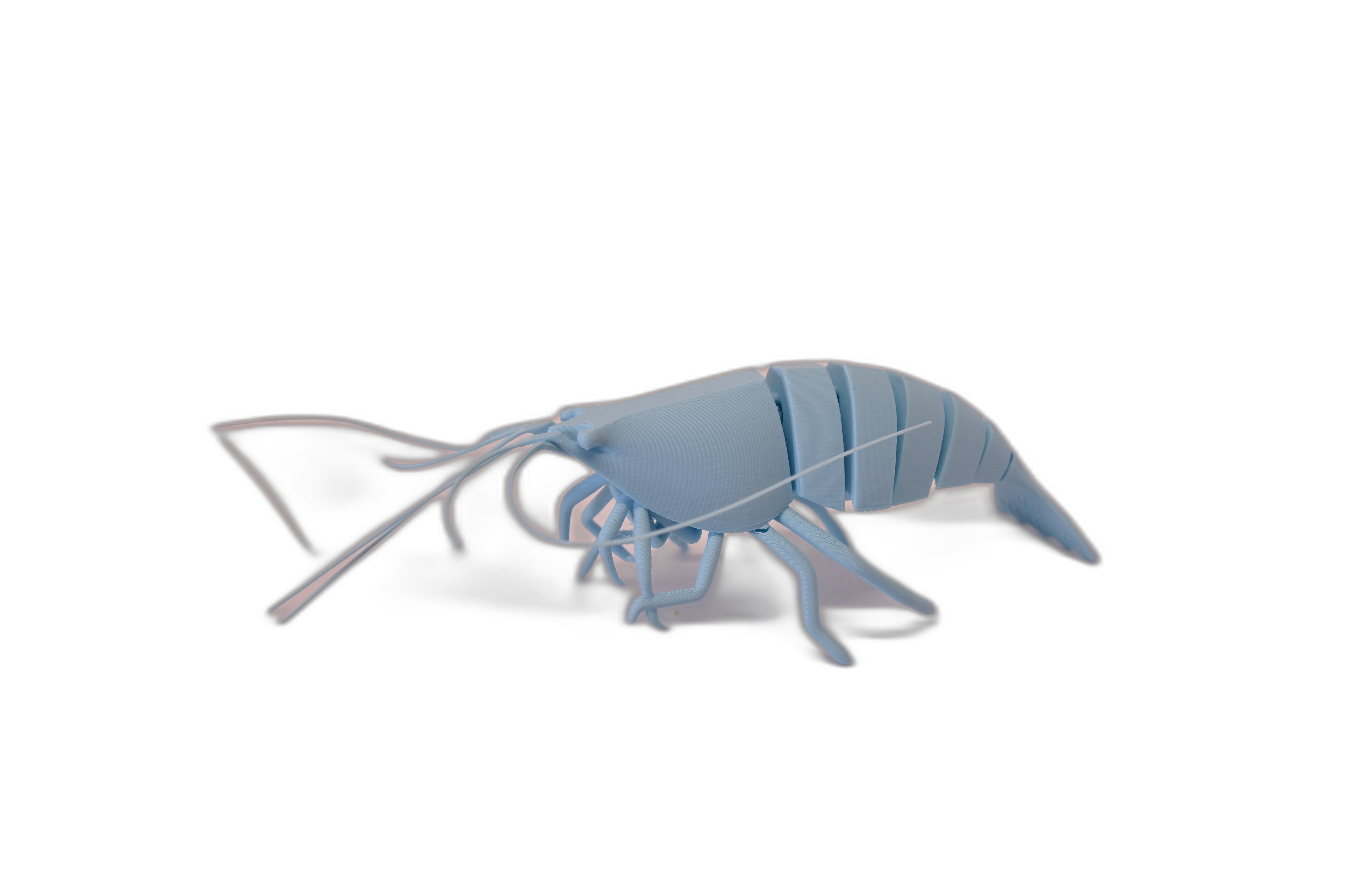 Crevetă Articulată – Figurina Oceanică 3D