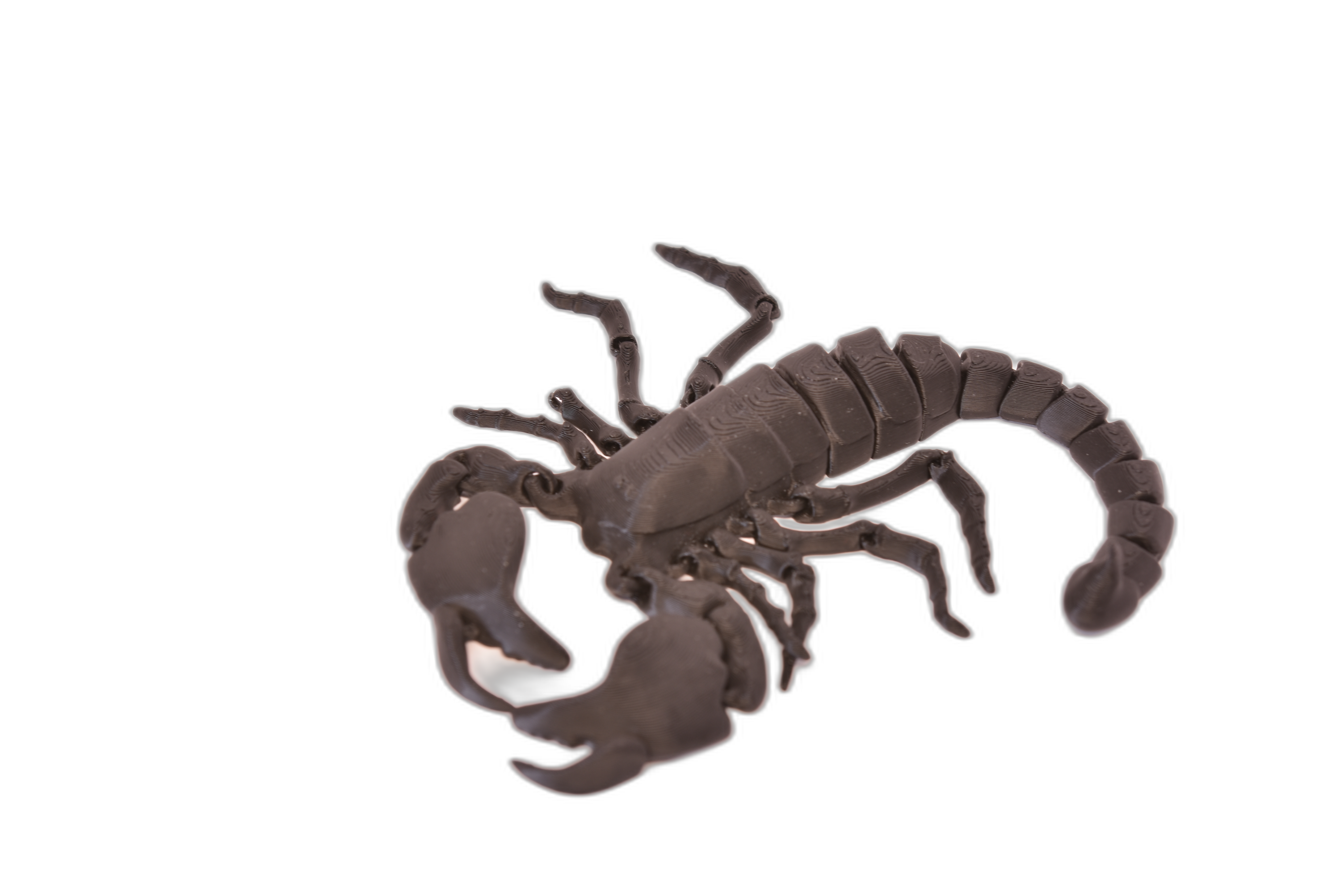 Scorpion Articulat