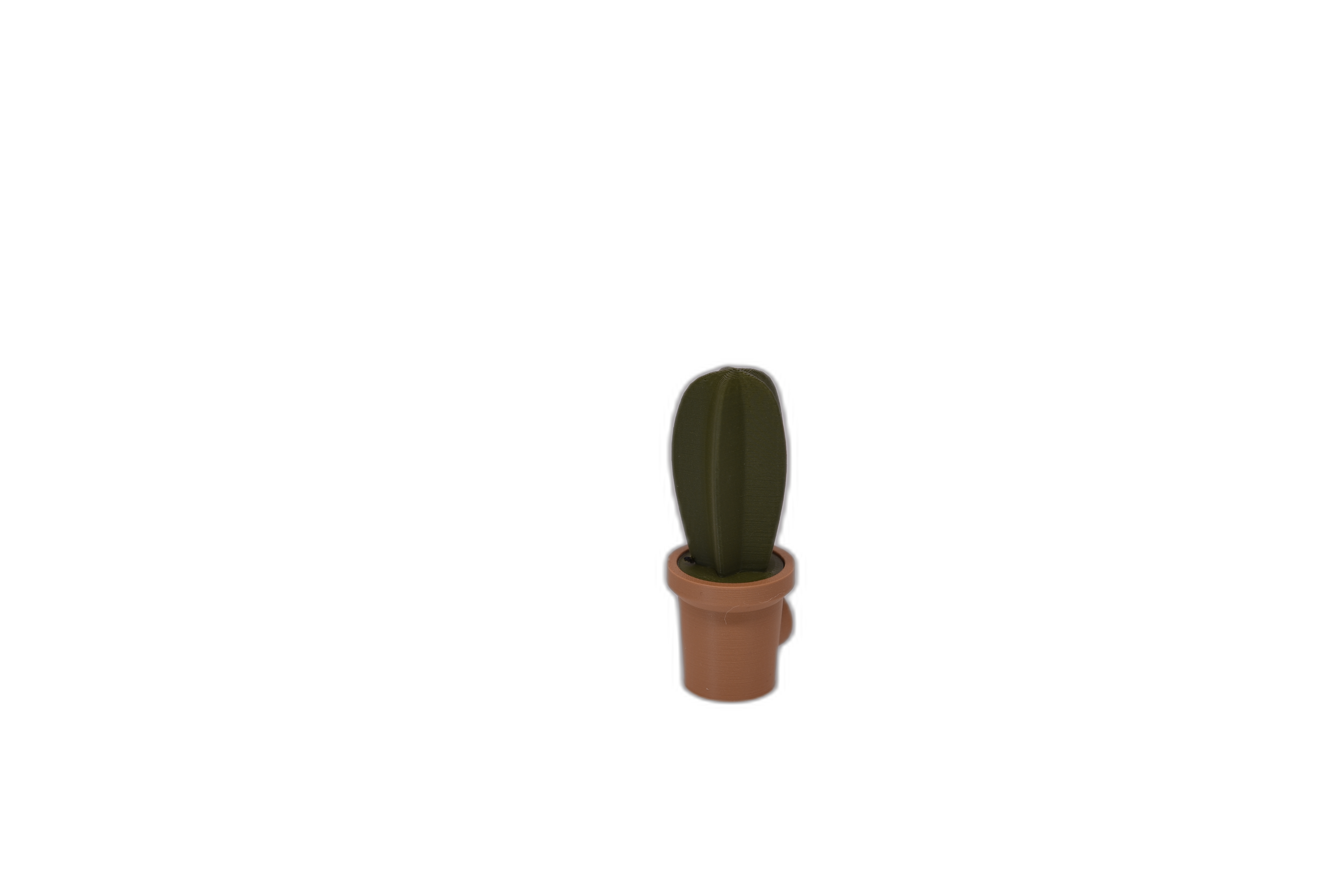Magneti decorativi frigider – cactuși 